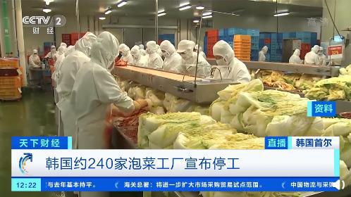 一棵白菜62元 韓國(guó)超3成泡菜工廠停工,部分經(jīng)銷商增加從中國(guó)進(jìn)口的泡菜量